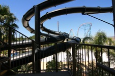 Enlarge photo 240