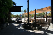 Enlarge photo 216
