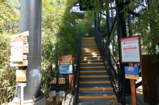 Enlarge photo 219