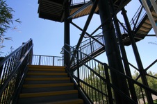 Enlarge photo 225