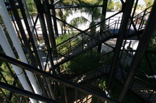 Enlarge photo 270