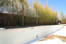Enlarge photo 267