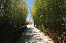 Enlarge photo 210