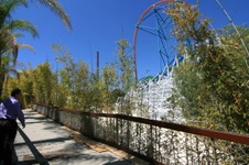 Enlarge photo 213