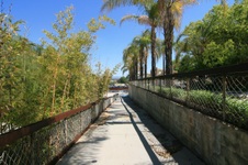 Enlarge photo 214