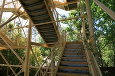 Enlarge photo 229