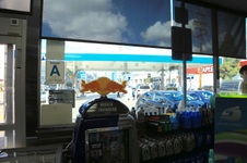 Enlarge photo 45