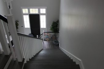 Enlarge photo 41