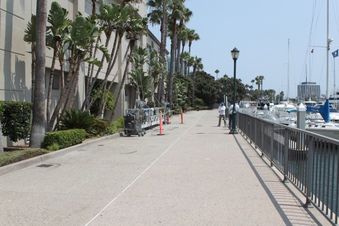 Enlarge photo 42