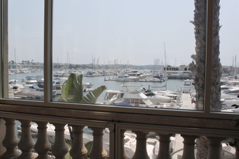 Enlarge photo 66