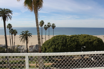 Enlarge photo 50