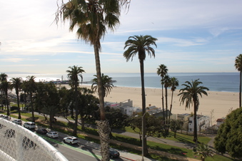 Enlarge photo 58