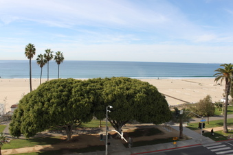 Enlarge photo 59