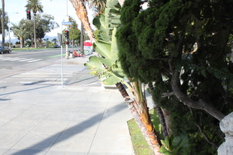 Enlarge photo 67