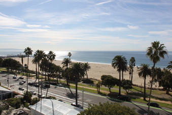 Enlarge photo 43