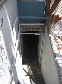 Enlarge photo 30