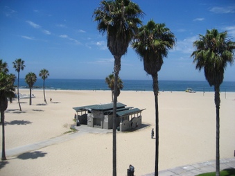 Enlarge photo 39
