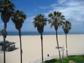 Enlarge photo 40