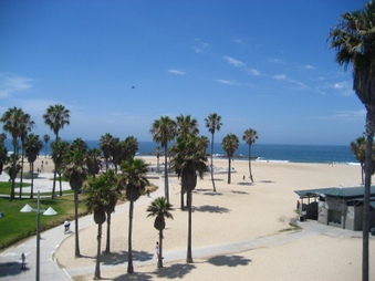 Enlarge photo 41