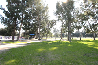Enlarge photo 31