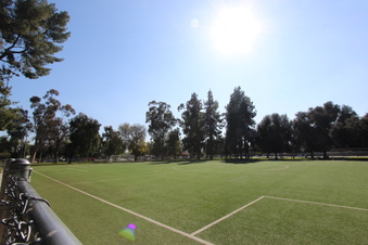 Enlarge photo 52