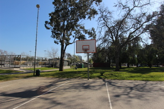 Enlarge photo 62