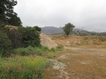 Enlarge photo 38