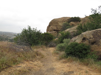 Enlarge photo 41