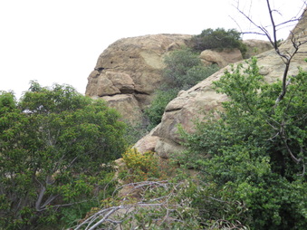 Enlarge photo 43