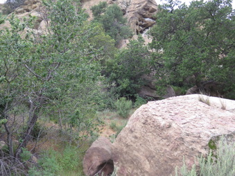 Enlarge photo 42