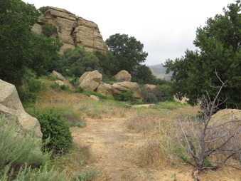 Enlarge photo 44