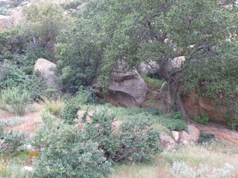 Enlarge photo 46
