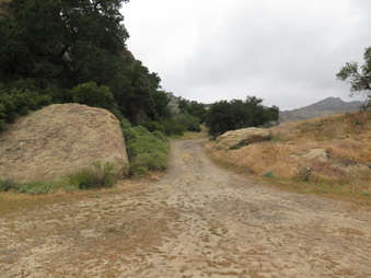 Enlarge photo 47