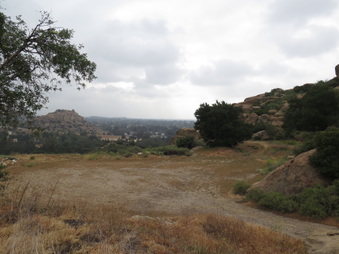 Enlarge photo 30