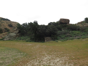 Enlarge photo 48