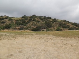 Enlarge photo 49