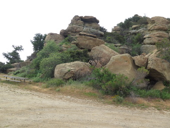 Enlarge photo 52