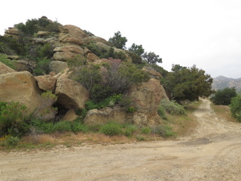 Enlarge photo 54