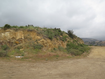 Enlarge photo 56