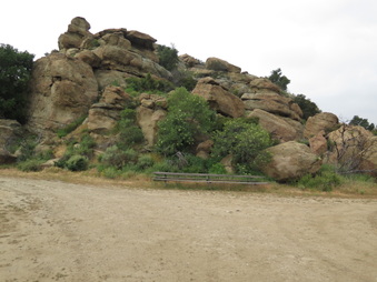 Enlarge photo 58