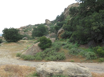 Enlarge photo 31