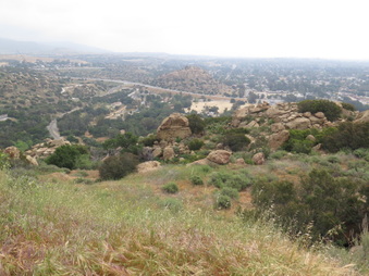 Enlarge photo 62