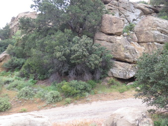 Enlarge photo 33