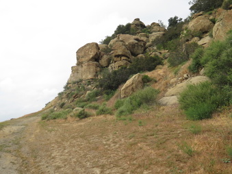 Enlarge photo 67