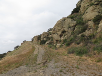 Enlarge photo 72