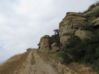 Enlarge photo 73