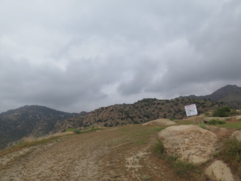 Enlarge photo 74