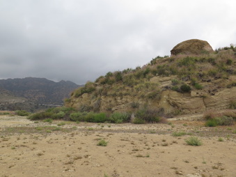Enlarge photo 75
