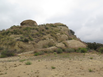 Enlarge photo 77