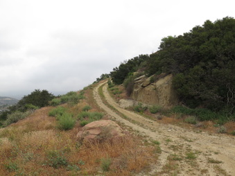 Enlarge photo 76
